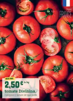 Fresh Tomate divinina offre