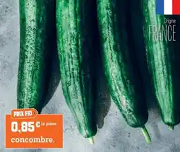 Fresh Concombre offre