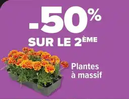 Carrefour Drive Plantes à massif offre