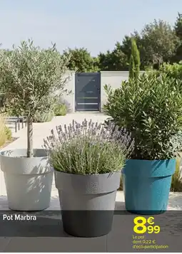 Carrefour Drive Pot marbra offre