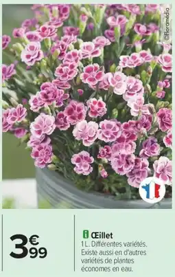 Carrefour Drive Ceillet offre