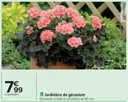 Carrefour Drive Jardinière de géranium offre