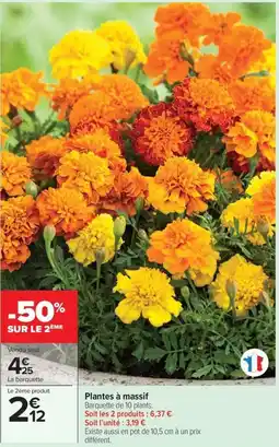 Carrefour Drive Plantes à massif offre