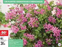 Carrefour Drive Géranium offre