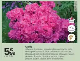 Carrefour Drive Azalée offre