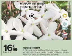 Carrefour Drive Jasmin persistant offre