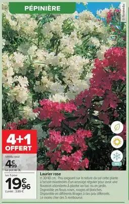 Carrefour Drive Laurier rose offre