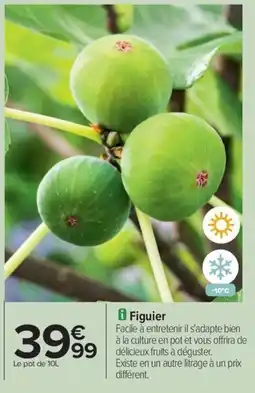 Carrefour Drive Figuier offre