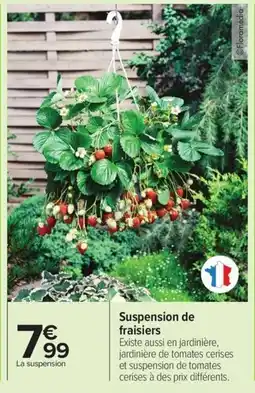 Carrefour Drive Suspension de fraisiers offre