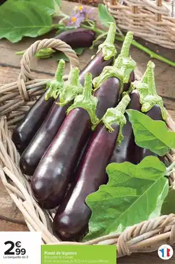 Carrefour Drive Plants de légumes offre