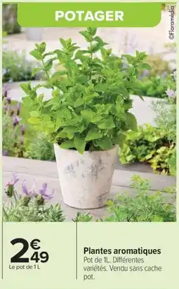 Carrefour Drive Plantes aromatiques offre