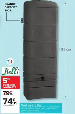 Carrefour Drive Récupérateur à eau déco belli offre