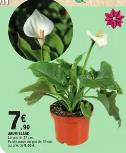 E.Leclerc ARUM BLANC offre
