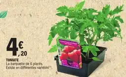 E.Leclerc TOMATE offre