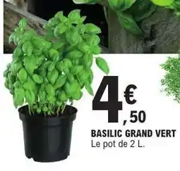 E.Leclerc BASILIC GRAND VERT offre