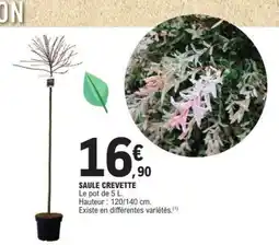E.Leclerc SAULE CREVETTE offre