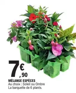 E.Leclerc MÉLANGE ESPÈCES offre