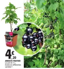E.Leclerc Arbuste fruitier offre