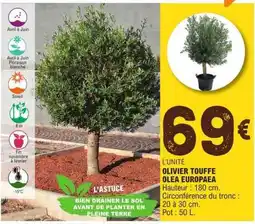 E.Leclerc OLIVIER TOUFFE OLEA EUROPAEA offre