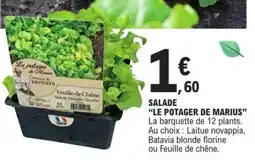 E.Leclerc Salade Le Potager de Marius offre