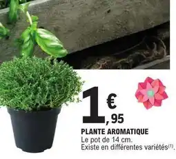 E.Leclerc PLANTE AROMATIQUE offre