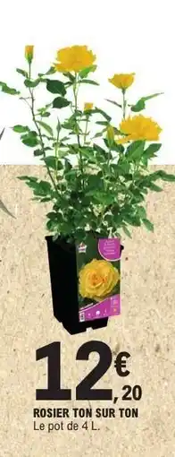E.Leclerc Rosier ton sur ton offre