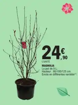 E.Leclerc Magnolia offre