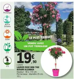 E.Leclerc LAURIER ROSE MINI TIGE NERIUM OLEANDER offre