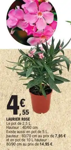 E.Leclerc Laurier rose offre
