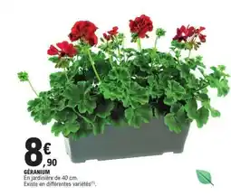 E.Leclerc Géranium offre
