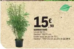 E.Leclerc Bambou doré offre