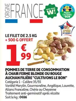 Auchan Pommes de terre de consommation à chair ferme blonde ou rouge auchan filière cultivons le bon offre