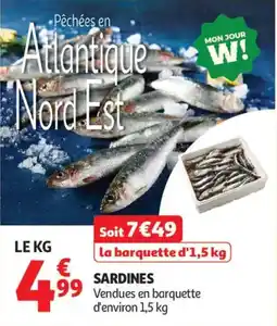 Auchan Sardines offre