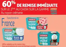 Auchan Andros gourmand végétal offre