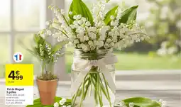 Carrefour Pot de Muguet 3 griffes offre