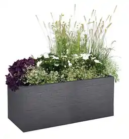 Jardiland Ecloz jardinière décorative ecloz offre