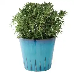 Jardiland Ecloz pot merida ecloz offre