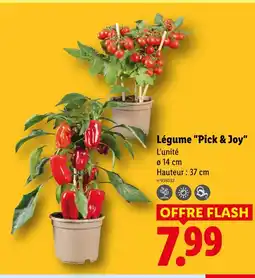 Lidl Légume 'pick & joy' offre
