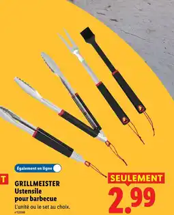 Lidl Grillmeister ustensile pour barbecue offre