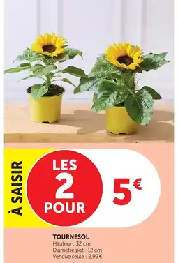 U Express Tournesol offre