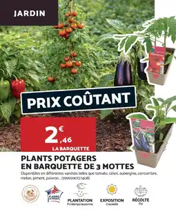 Bricomarché Plants potagers en barquette de 3 mottes offre