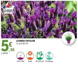 E.Leclerc LAVANDE PAPILLON offre