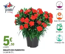 E.Leclerc OEILLETS DES FLEURISTES offre