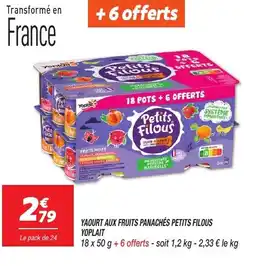 Netto YAOURT AUX FRUITS PANACHÉS PETITS FILOUS YOPLAIT offre