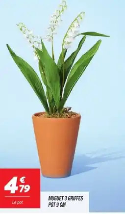 Netto MUGUET 3 GRIFFES offre