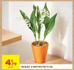 Intermarché MUGUET 3 GRIFFES POT 9 CM offre