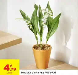 Intermarché Muguet 3 griffes pot offre