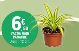 E.Leclerc Vacoa nain panache offre