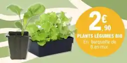 E.Leclerc Plants légumes bio offre