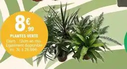 E.Leclerc Plantes verte offre